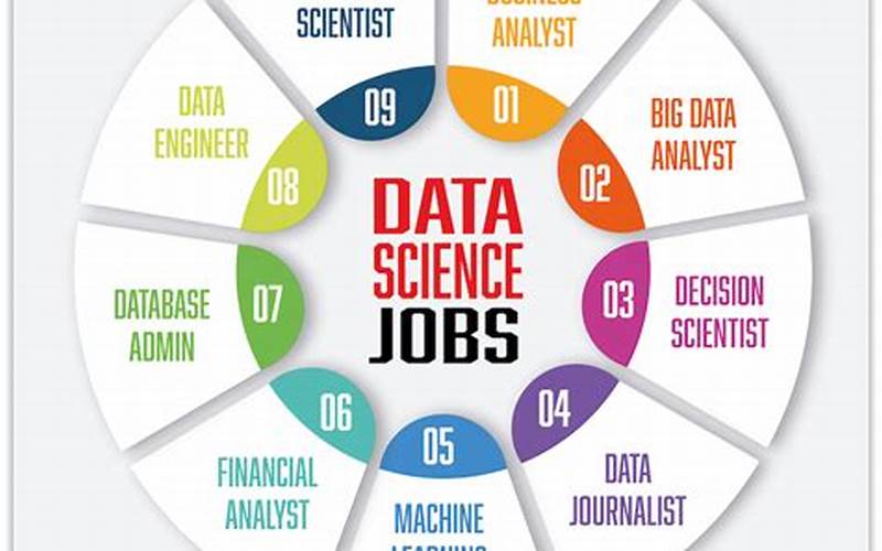 Types Of Entry Level Data Jobs