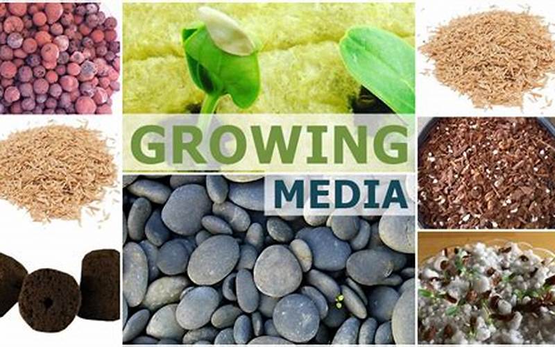 what grow medium for hydroponics