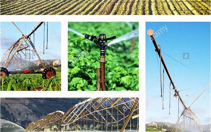 Types Of Irrigation Systems