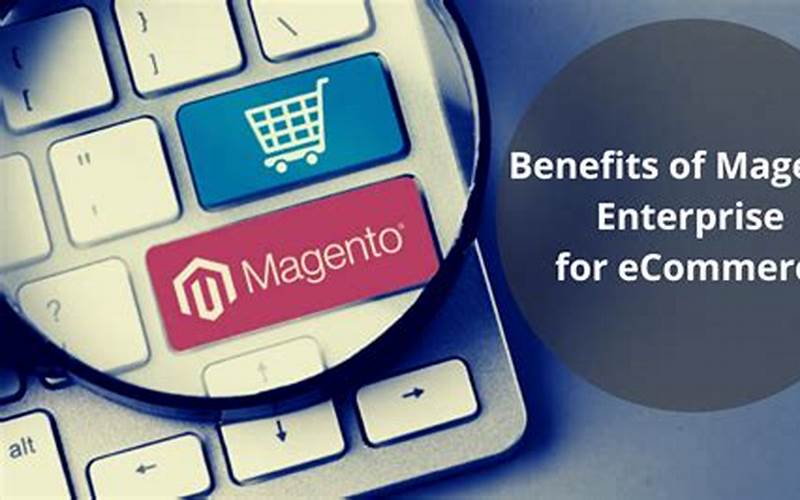 Types Of Magento Hosting Solutions