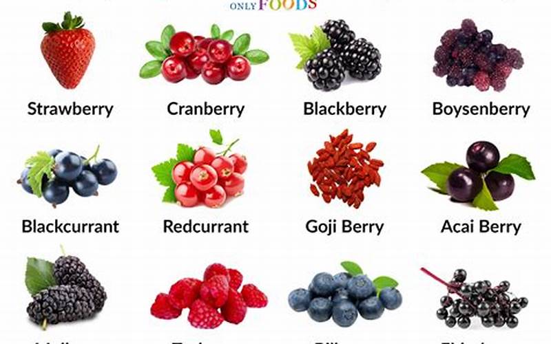 Types Of Wildberries