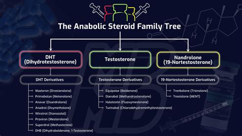 Types of Steroids
