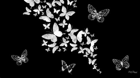 Types of Wallpaper HD Black Butterfly