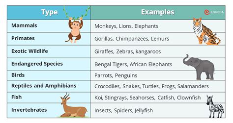 Types Of Animals Essay