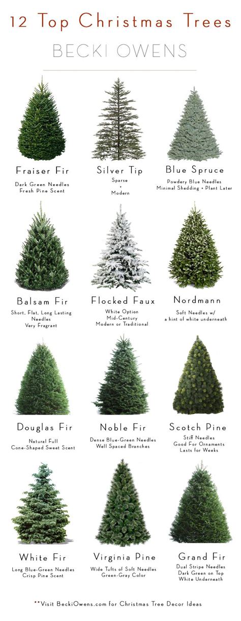Types Of Christmas Tree