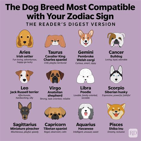 Types Of Dog Zodiac