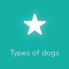 Types Of Dogs 94 Percent Game Answers