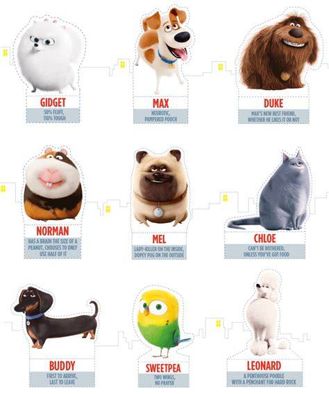 Types Of Dogs On Secret Life Of Pets