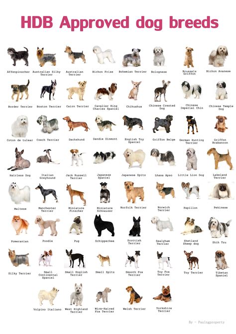 Types Of Dogs Rates