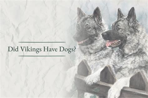 Types Of Dogs Vikings Had