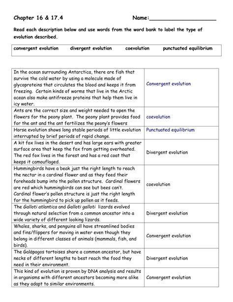 Types Of Evolution Worksheet Answers