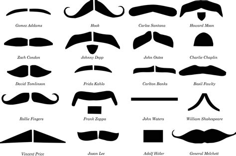 Types Of Mustaches