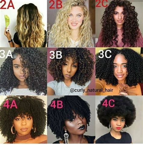 Types Of Natural Hair Chart