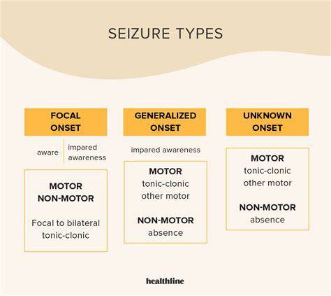 Types Of Seizures Chart