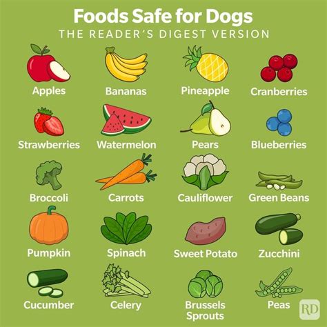 Types Of Vegetables Dogs Can Eat