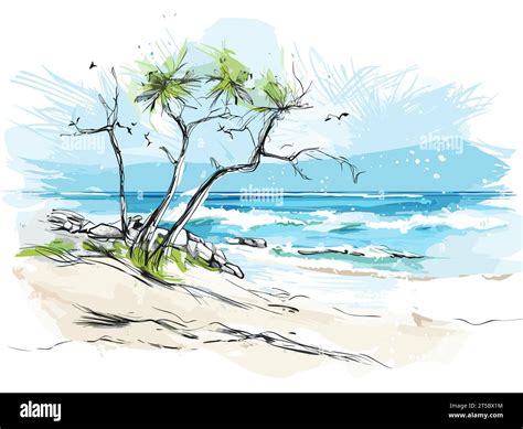 Types of Beach Drawing Photos