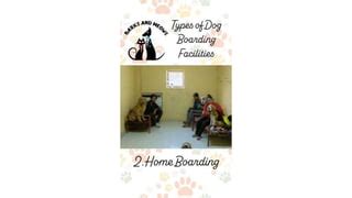 Types of Boarding Facilities Available
