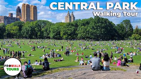 Types of Central Park Tours