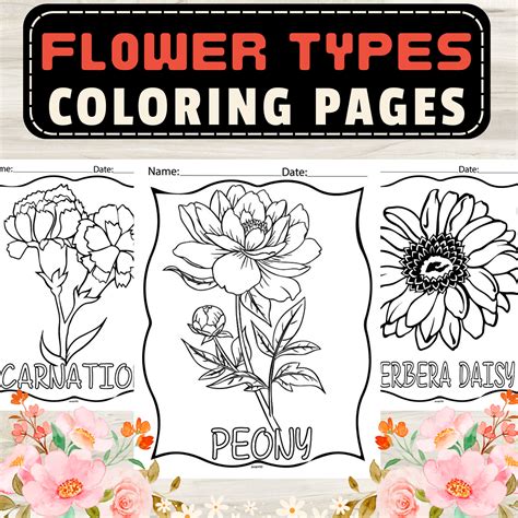Types of Coloring Pages Available