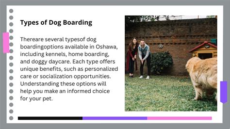 Types of Dog Boarding Options Available