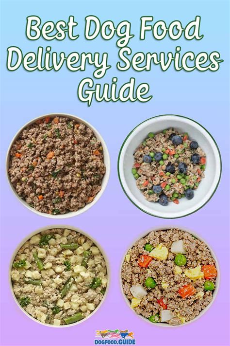 Types of Dog Food Delivery Services Available