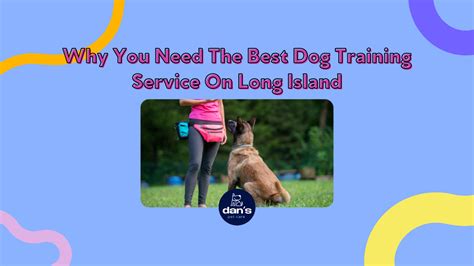 Types of Dog Training Available on Long Island