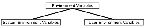 Types of Environment Variables
