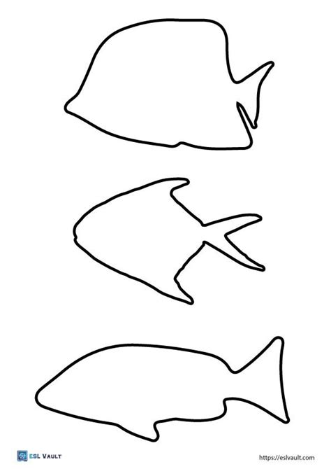Types of Fish Templates You Can Find