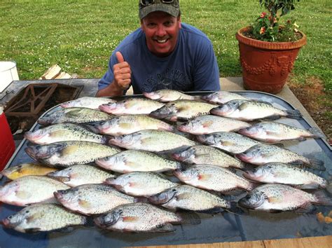 Types of Fish You Can Catch in Kentucky Lake