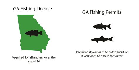 Types of Fishing Licenses Available in Georgia