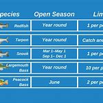 Types of Fishing Season