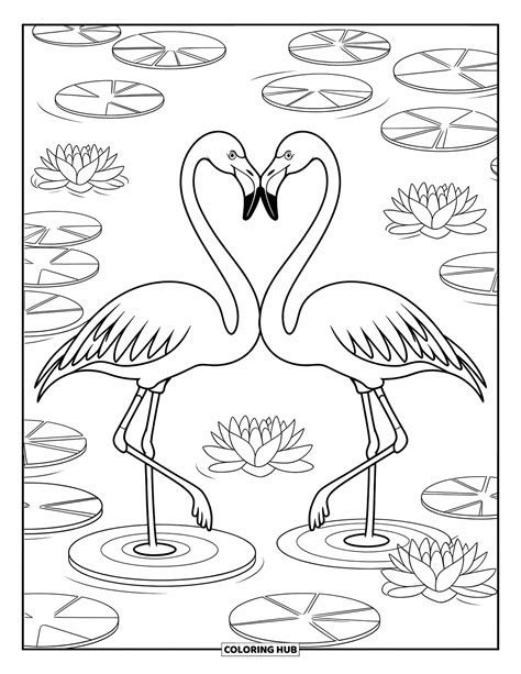Types of Flamingo Coloring Pictures You Can Find