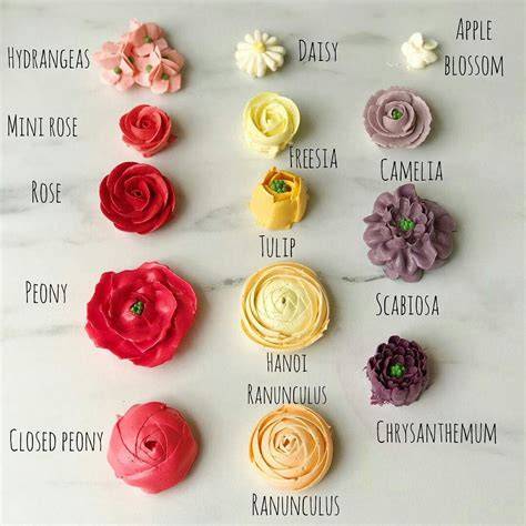 Types of Flowers for Cake Decorating
