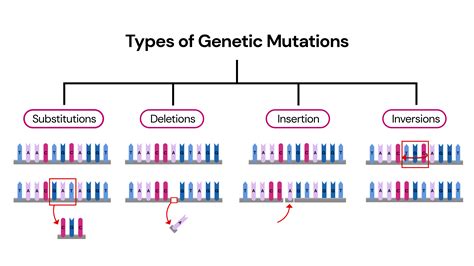 Types of Genetic Information Explored