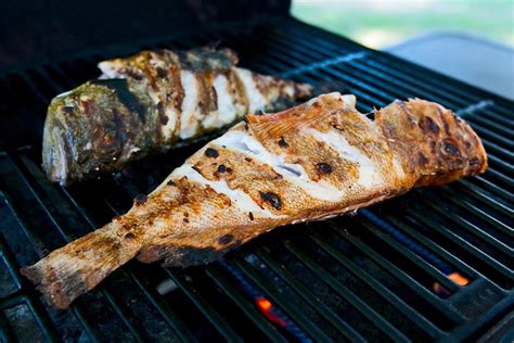 Types of Grilled Fish