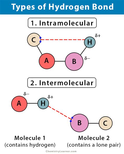 Types of Hydrogen Bonds