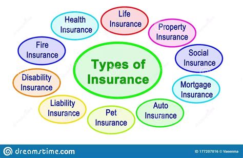 Types of Insurance Plans