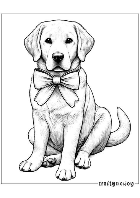 Types of Labrador Coloring Sheets You Will Find