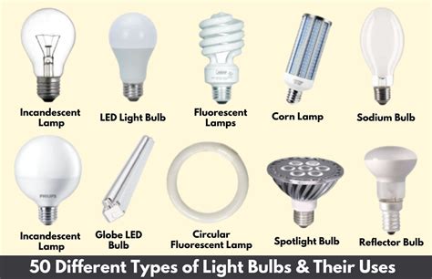 Types of Light Bulbs