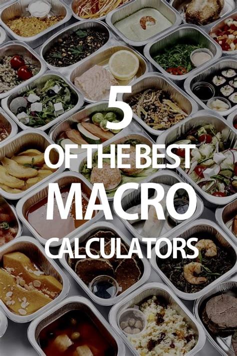 Types of Macro Calculators
