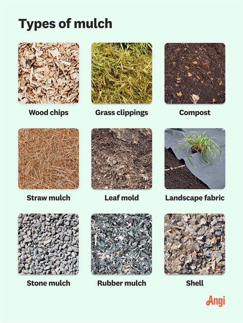 Types of Mulch