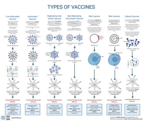Types of P0Lio Vaccine: A Quick Overview