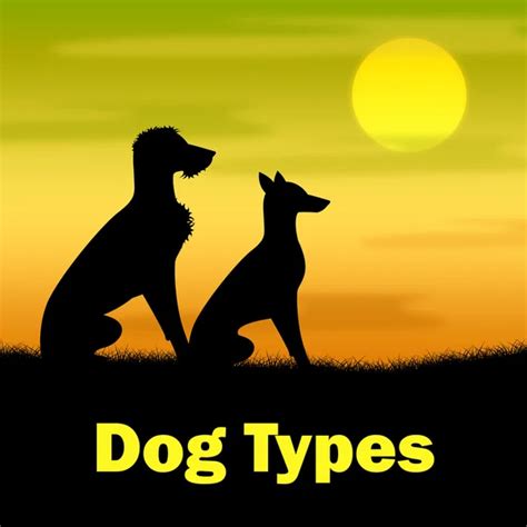 Types of PUPs