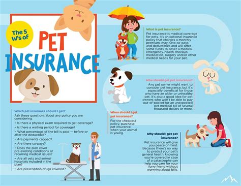Types of Pet Insurance Coverage