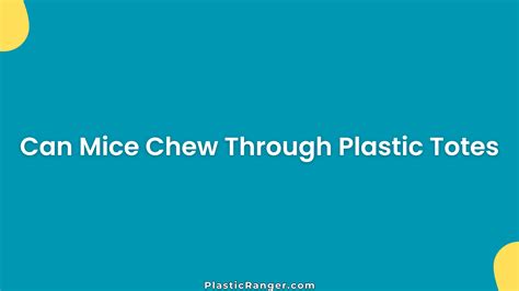 Types of Plastic Mice Can Chew Through