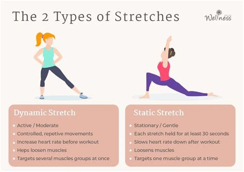 Types of Stretching You Need