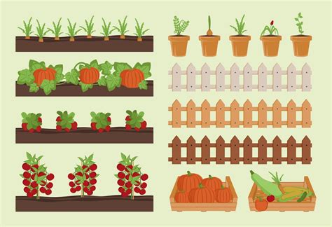 Types of Vegetable Cartoon Images