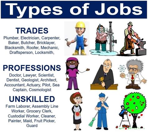 Types of job roles