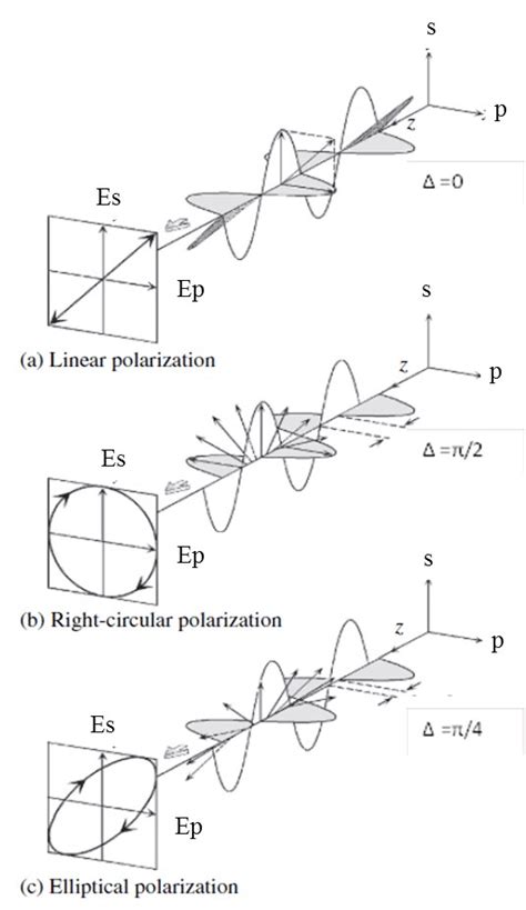 Types of polarisation