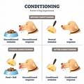 Types of Line Conditioning UPS